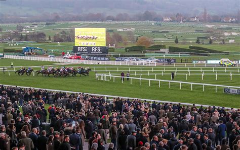 Cheltenham Festival 2020: Paddy’s Top Tips for This Year’s Festival.